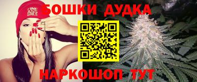 кокс Можга